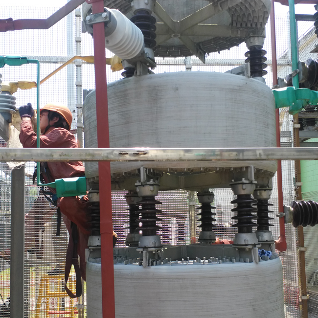 龍巖220kV赤水變電站10kV電容器Ⅰ、Ⅲ組支柱瓷瓶，全封閉干式放電線圈，串聯(lián)電抗器-（透明防污閃涂料）